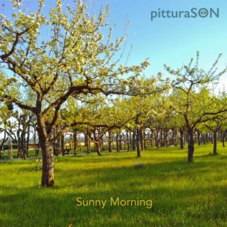 Sunny Morning
