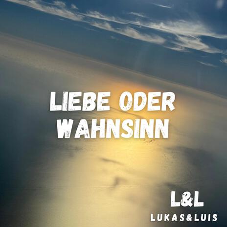 Liebe oder Wahnsinn | Boomplay Music