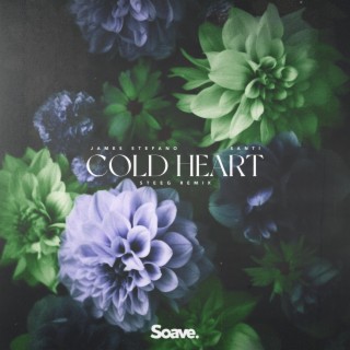 Cold Heart (Steeg Remix)
