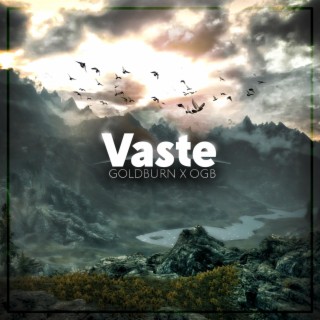 Vaste