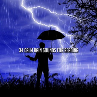 !!!! 34 Calm Rain Sounds For Reading !!!!