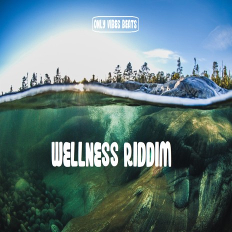 Wellness Riddim | Boomplay Music