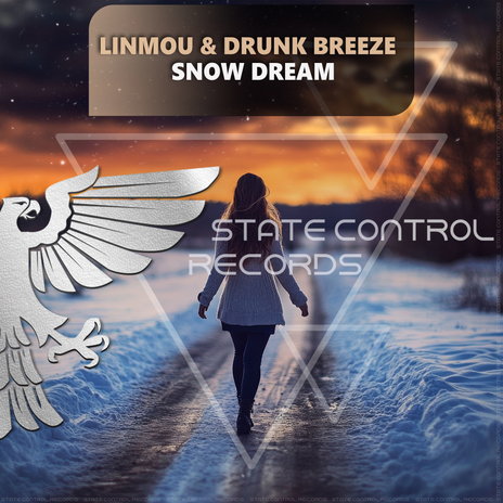 Snow Dream (Extended Mix) ft. Drunk Breeze | Boomplay Music