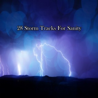 !!!! 28 Storm Tracks For Sanity !!!!