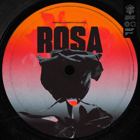 Rosa ft. Umberto Pagliaroli | Boomplay Music