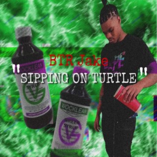 Sippin On Turtle