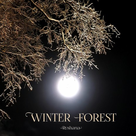 Winter Forest | Boomplay Music