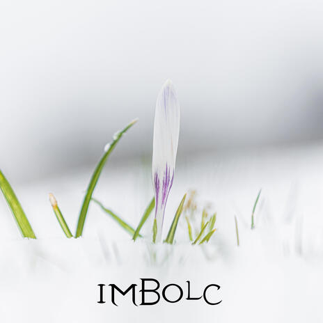 Imbolc | Boomplay Music