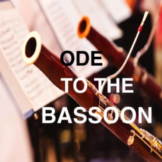 Ode To The Bassoon