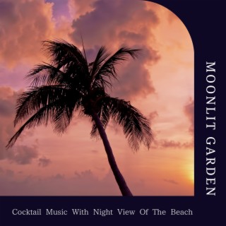 Cocktail Music With Night View Of The Beach