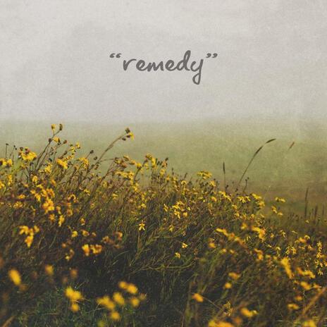 Remedy | Boomplay Music