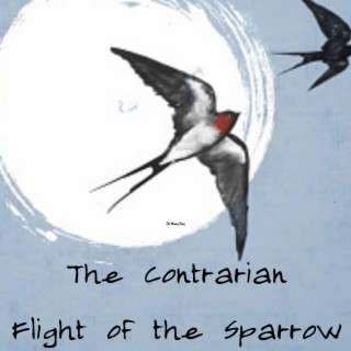 Flight of the Sparrow