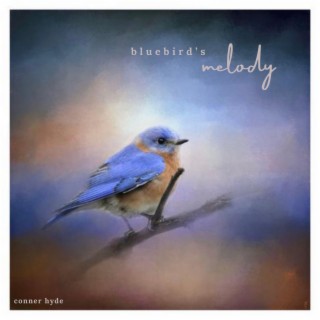 Bluebird's Melody