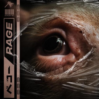 RAGE lyrics | Boomplay Music