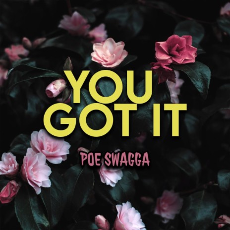 You Got It | Boomplay Music