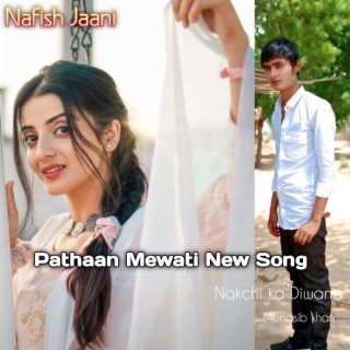 Pathaan Mewati New Song