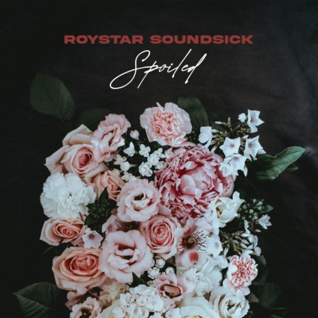 Spoiled | Boomplay Music