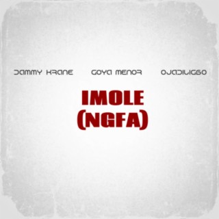 Imole (NGFA) ft. Goya Menor X Ojadiligbo | Boomplay Music