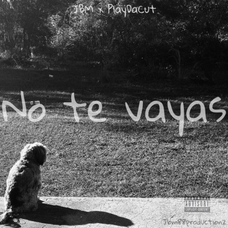 No Te Vayas ft. PlayDaCut | Boomplay Music