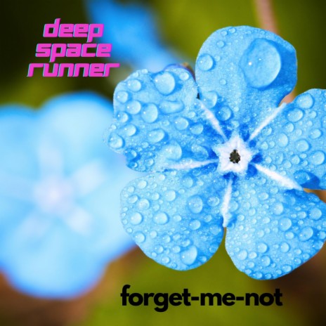 forget-me-not | Boomplay Music