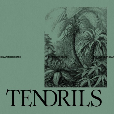 Tendrils | Boomplay Music
