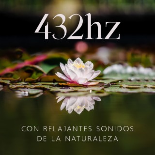 432hz con Relajantes Sonidos de la Naturaleza: Música Relajante Total para el Sueño Profundo y la Relajación.