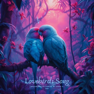 Lovebirds Song