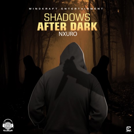 Shadows After Dark | Boomplay Music