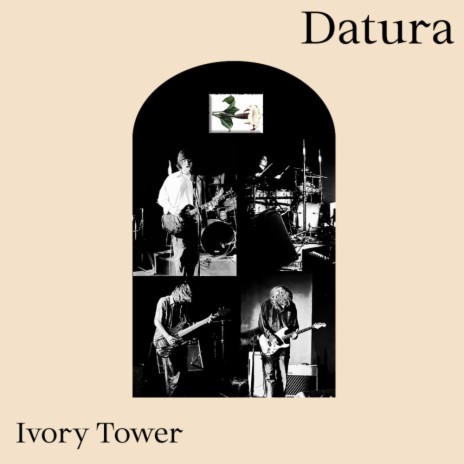 Ivory Tower | Boomplay Music