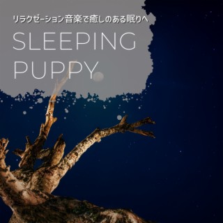 リラクゼーション音楽で癒しのある眠りへ