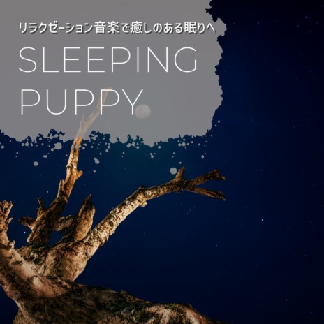 Have a Good Night's Sleep | Boomplay Music