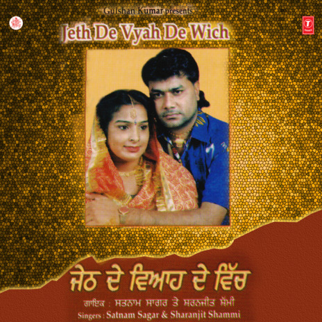 Fauji Dhan Hausla Tera ft. Sharanjeet Shammi | Boomplay Music