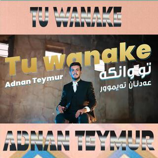 Adnan Teymur - Tu Wanake - عدنان تیمور - تو وانكە