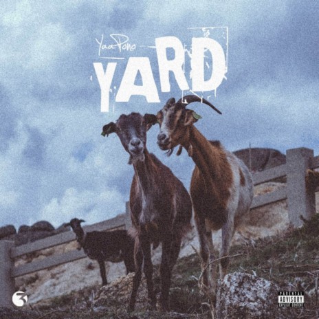 YARD | Boomplay Music