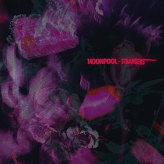 Strangers lyrics | Boomplay Music