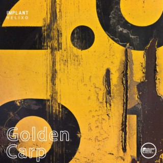 Golden Carp