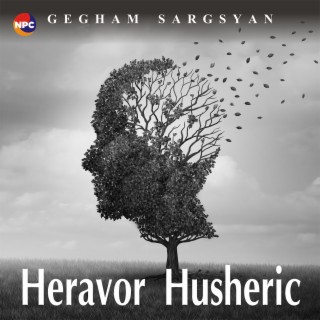 Heravor Husheric