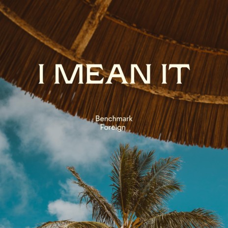 I Mean It | Boomplay Music