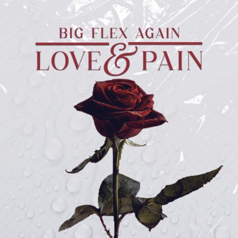 Love & Pain | Boomplay Music