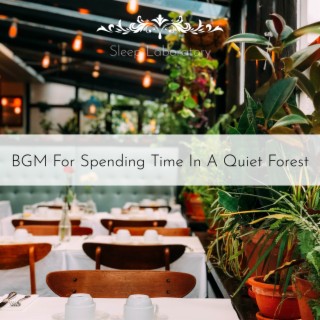 BGM For Spending Time In A Quiet Forest