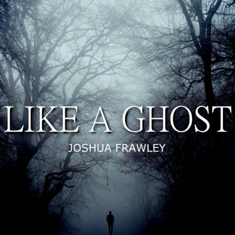Like A Ghost | Boomplay Music