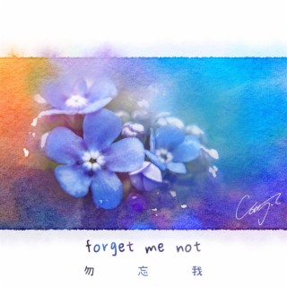 forget me not