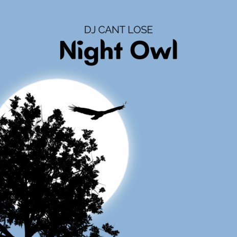 NIGHT OWL | Boomplay Music