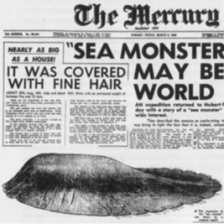 Episode 13: The Tasmanian Blob Mysteries