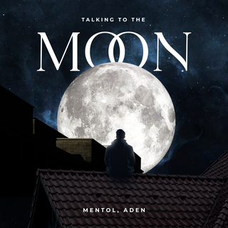 Talking To The Moon