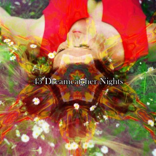 !!!! 43 Dreamcatcher Nights !!!!