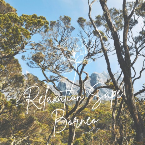 Relaxation Sape Borneo Vol 8 | Boomplay Music