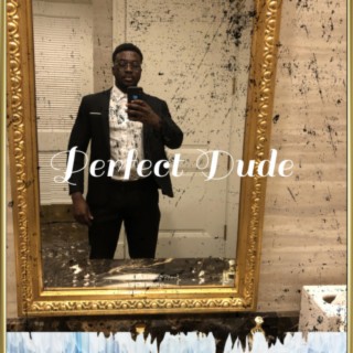 Perfect Dude