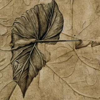 Fallen Leaves lyrics | Boomplay Music