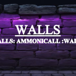 Walls